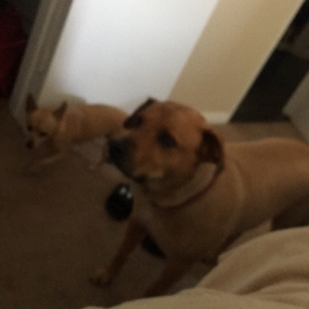 Meet your Posher, Brooke